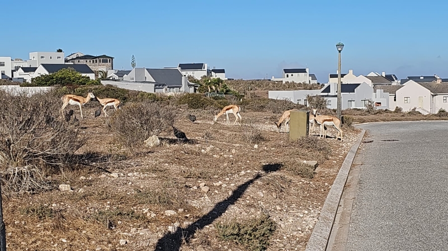 3 Bedroom Property for Sale in Hoogland Western Cape